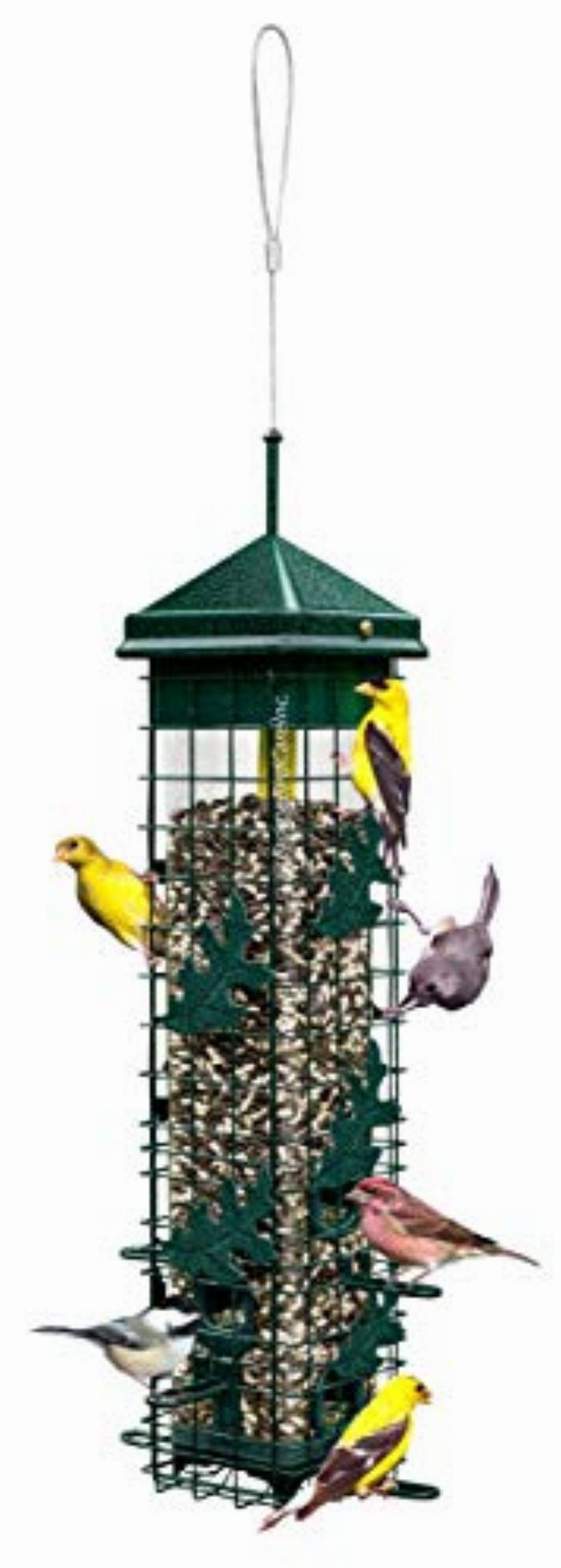 Squirrel Proof Bird Feeder